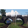 IMGP6597.jpg