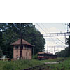 IMGP6621.jpg