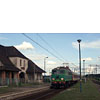 IMGP6640.jpg