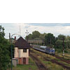 IMGP6655.jpg