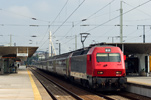 IMGP6713.jpg