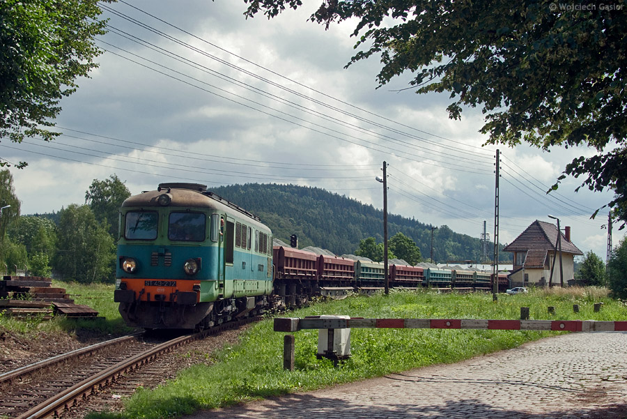 IMGP6728.jpg