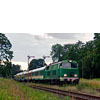 IMGP6929.jpg