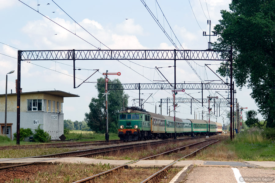 IMGP7100.jpg
