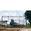 IMGP7100.jpg
