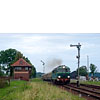 IMGP7136.jpg