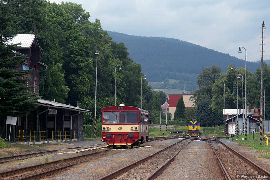 IMGP7173.jpg