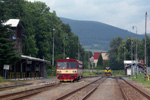 IMGP7173.jpg