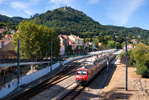 IMGP7174.jpg