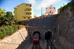 IMGP7175.jpg