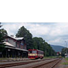 IMGP7180lr.jpg