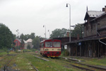 IMGP7225rt.jpg