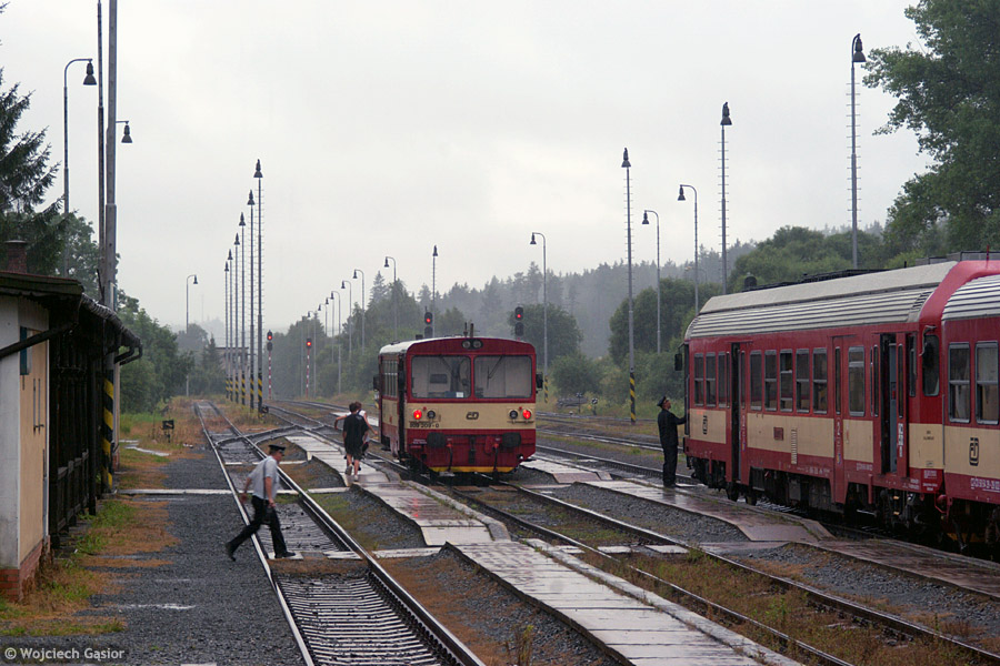 IMGP7231.jpg