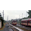 IMGP7231.jpg
