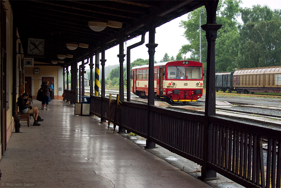 IMGP7233.jpg
