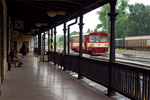 IMGP7233.jpg