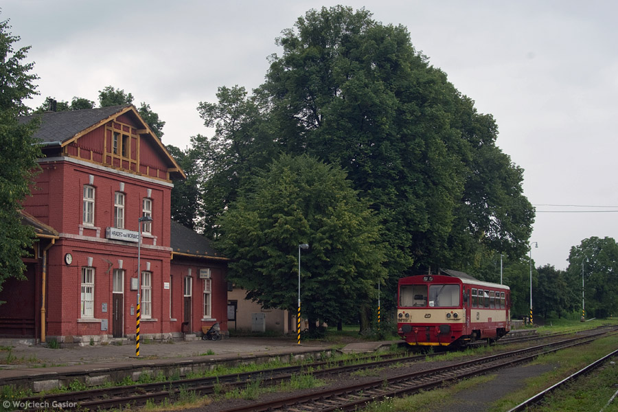 IMGP7252lr.jpg