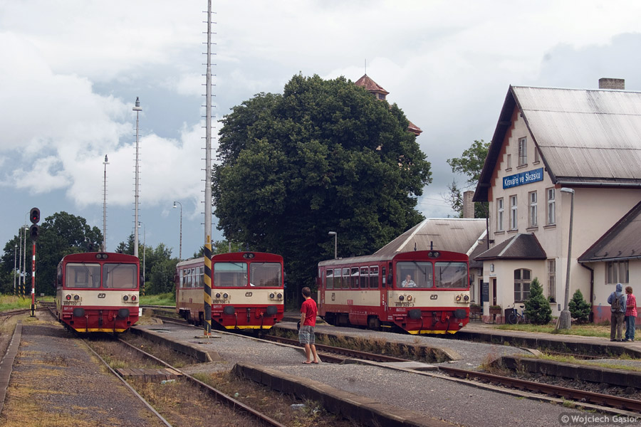 IMGP7287lr.jpg