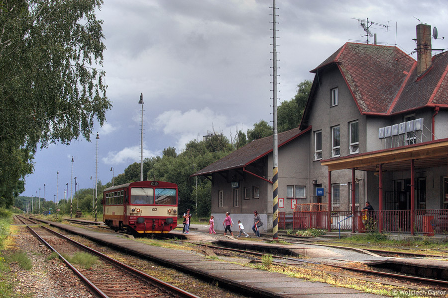IMGP7291.jpg