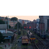 IMGP7322.jpg