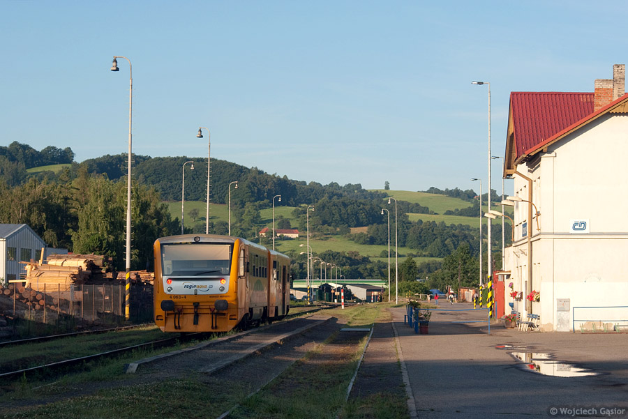 IMGP7340.jpg