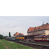 IMGP7363.jpg