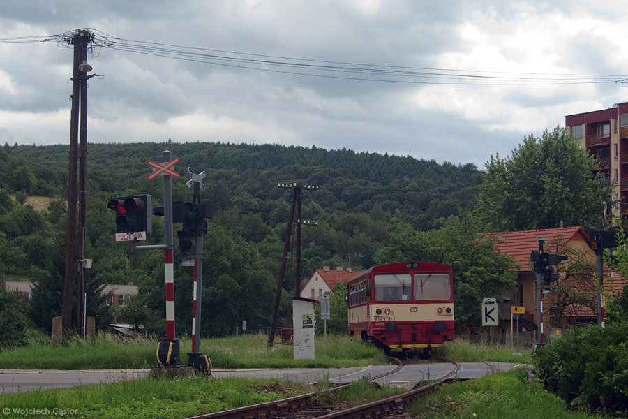 IMGP7405lr.jpg