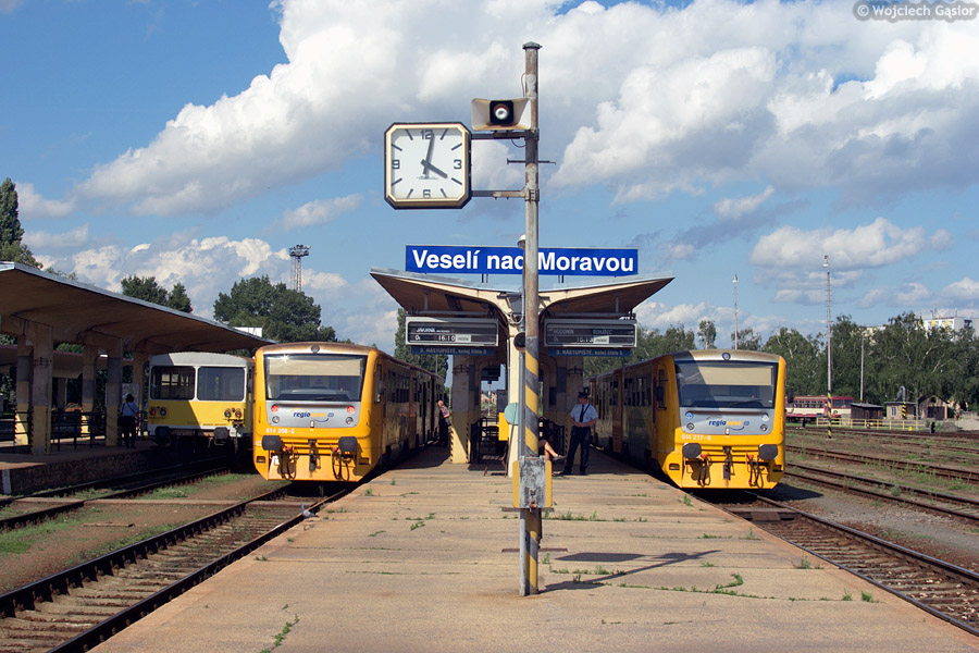 IMGP7419.jpg