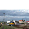 IMGP7442.jpg