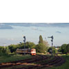 IMGP7456.jpg