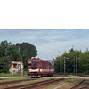 IMGP7512.jpg