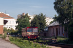 IMGP7718.jpg