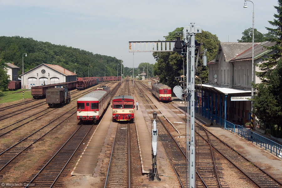IMGP7721.jpg