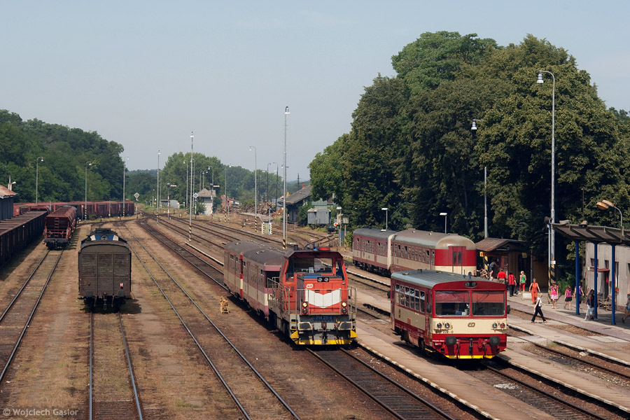 IMGP7729.jpg