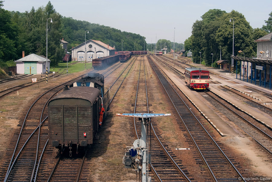 IMGP7735.jpg