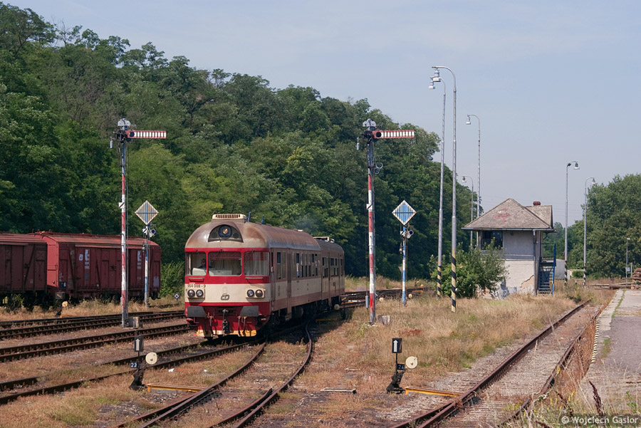 IMGP7749.jpg