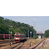 IMGP7749.jpg