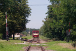 IMGP7752.jpg