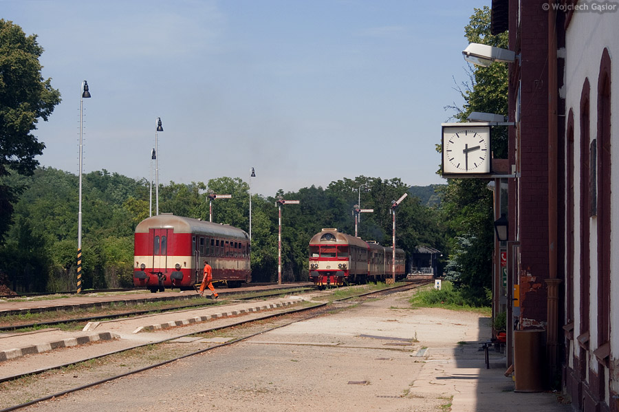 IMGP7764.jpg