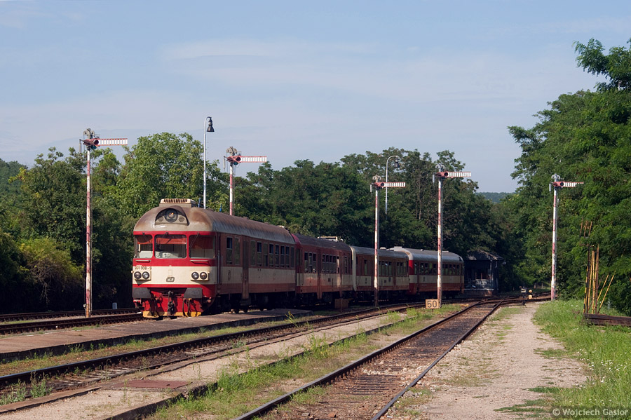 IMGP7777.jpg