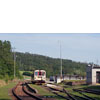 IMGP7778.jpg