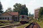 IMGP7782.jpg