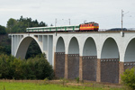 IMGP7785.jpg