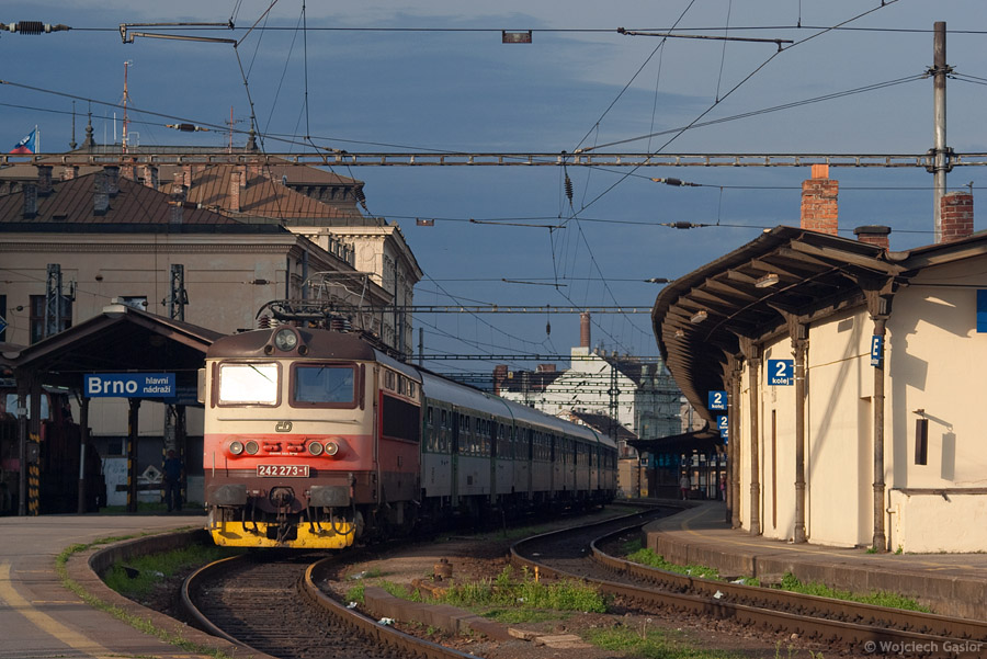 IMGP7787.jpg