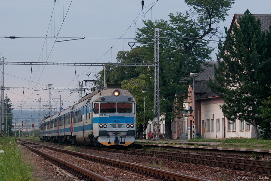 IMGP7796.jpg