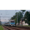 IMGP7796.jpg