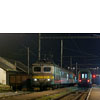 IMGP7804.jpg
