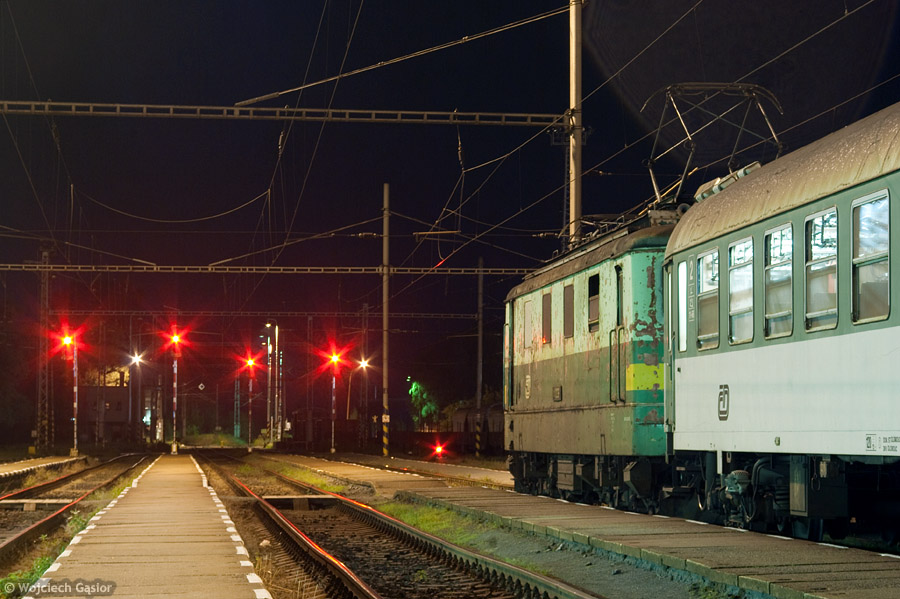 IMGP7805.jpg