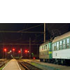 IMGP7805.jpg