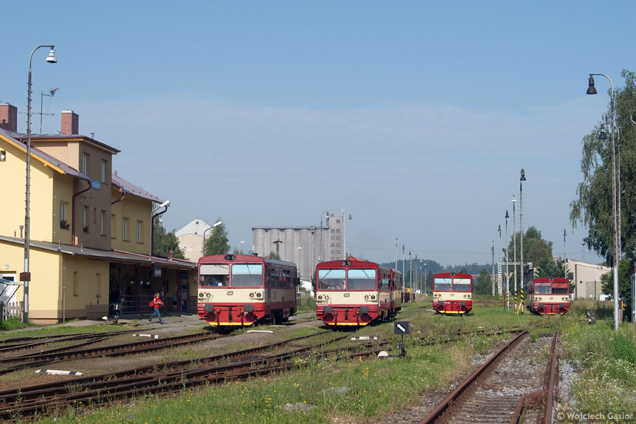 IMGP7867.jpg